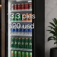Exhibidora 1 puerta 13 (pies) - Img 57241478