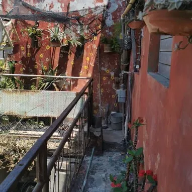 Dos casas en El Cerro🏘️ - Img 121602450