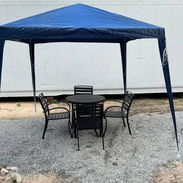 Carpas - Img 57663586