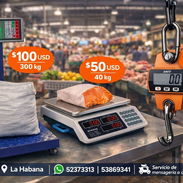 Pesa digital 40 kg - Img 52962151