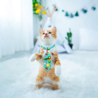 Corbatas Ajustables para Mascotas - 3/5