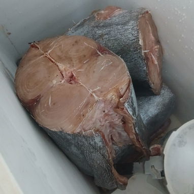 Pescado Castero - 3/3