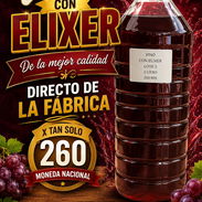 Vino - Img 57152422