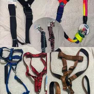 Correas y mucho más para mascotas - Img 55802448