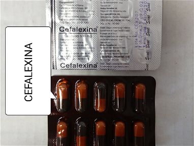 CEFALEXINA-AMOXICILINA- DOXICICLINA antibióticos importados - Img main-image-44065379