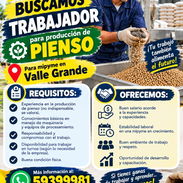Buscamos trabajadores para el pienso - Img 57803485