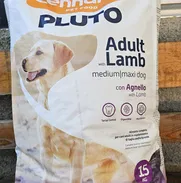 Pienso para perros. - Img 49833967
