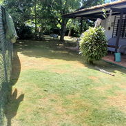 Servicios de Jardinería Profesional - Img 57763458