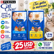 Vendo paquete de comida de mascota - gatos - Img 47947042