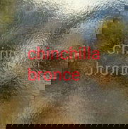 Todo tipo de cristales - Img 48905750