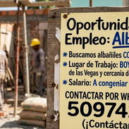 Buscamos Albañil - Img 57897961