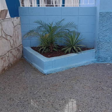 Servicio de jardinería 👩🏼‍🌾 - Img 124722374