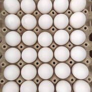 Cartón de Huevos - Img 45507478
