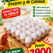 QUESO GOUDA ALEMÁN, HUEVOS BLANCOS Y HELADOS - Img 58097261