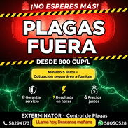 FUMIGACIÓN Y CONTROL DE PLAGAS - Img 56901925