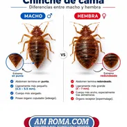 Fumigadoral 100 - Img 56804106
