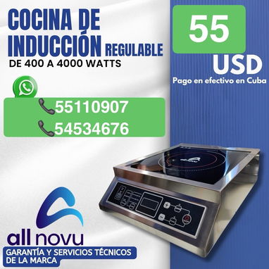 Cocinas inducción professional - Img 120073933