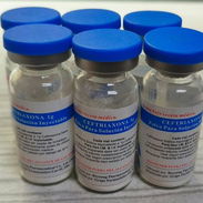 Vendo 6 bulbos de rosefin (ceftriaxona) - Img 55954991