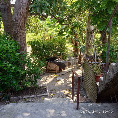 Vendo casa - Img 125491488