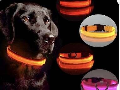 Collares Luminosos Led para perros, recargables por usb. - Img main-image-44729276