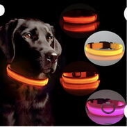 Collares Luminosos Led para perros, recargables por usb. - Img 44729276