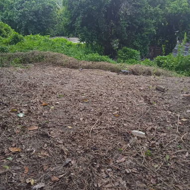 Alquiler de finca en Marianao - 9/10