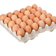Huevos frescos pardos recien importados - Img 45488918