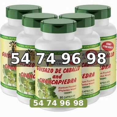 Chanca Piedra con Guisazo de Caballo, Hierba Tradicional Rompe Piedras, Suplemento de Apoyo para el Riñón y el Tracto - 2/3