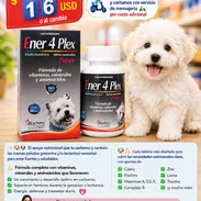 Ener 4 Plex Puppy – 60 Tabletas multivi para perros cachorros - Img 51619395