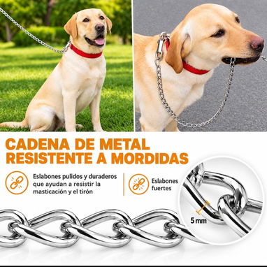 Correa Antimordidas de Cadenas de Metal - 2/3