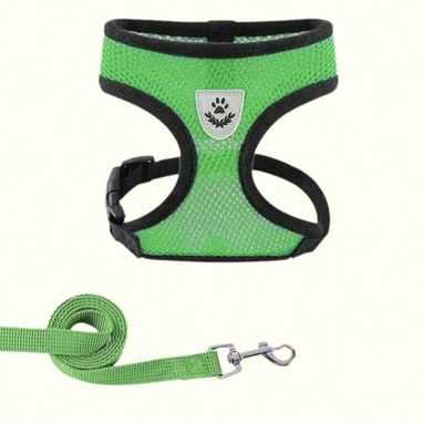 Arnés / Pechera para perros - Img 119984756