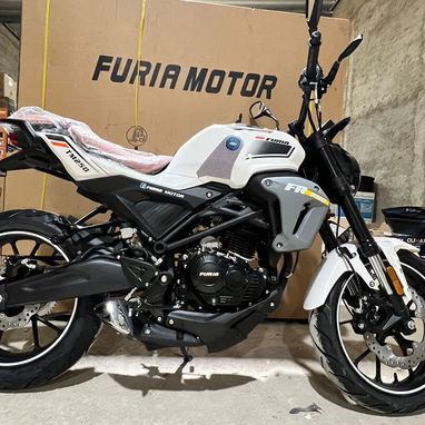 MOTO DEPORTIVA DE COMBUSTIÓN FURIA PRO DE 250 CC y autonomía DE 30 KM/h 🏍️ - 4/10