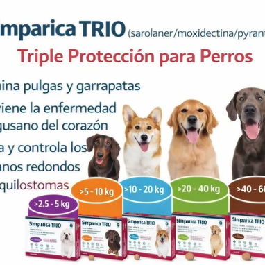 馃拪Antiparasitarios para tu mascota. Medicamentos para pulgas y garrapatas.馃惗馃樅 - Img 126021795