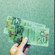 🇨🇦Compro Dólar Canadiense a 220cup🇨🇦 - Img 45610069