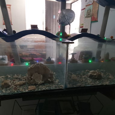 Venta de pecera - 2/2