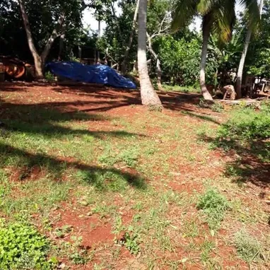Casa amplia con 2 hectáreas de tierra - 8/9
