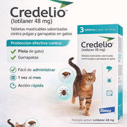 Credelio, antiparasitario externo para gatos - Img 55804644