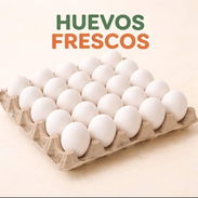 Venta de huevos - Img 55927664
