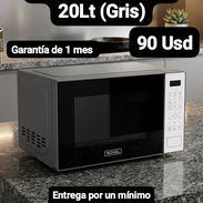 Microwave Royal 20Lt (Gris), Garantía de 1 mes, Entrega por un mínimo costo adicional para toda La Habana - Img 55536703