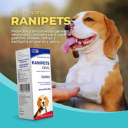 RANIPETS ORAL – Ranitidina - Img 57569789