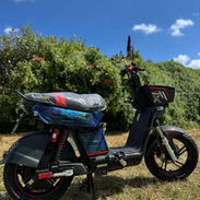 TOPMAQ EVOLUTION 48x45 - Img 54313463