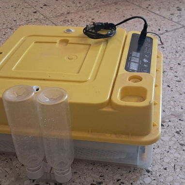 Encubadora eléctrica para huevos - 2/5