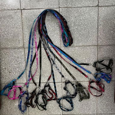 Correas y collares !! - Img 121578106