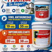 🎨🏠 ¡RENUEVA Y PROTEGE TU HOGAR CON NUESTRAS PINTURAS DE CALIDAD! 🏠🎨 ✅ - Img 55150321
