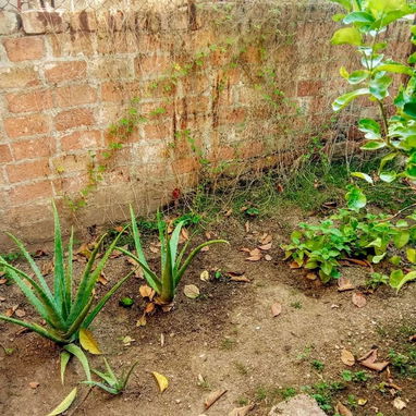 Casa en la Víbora - Img 106126953