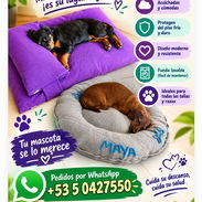 Para Tus Mascotas - Img 57598102