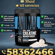 Creatina Animal 60 servicios - Img 57132636