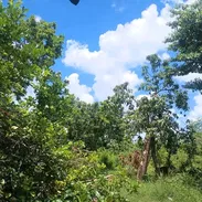 Venta de casas con finca - Img 56010827