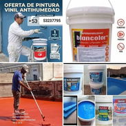 Pinturas de todo tipo - Img 55791419