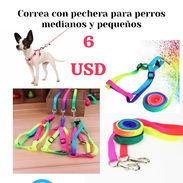 Correa con pechera para mascotas - Img 51442095